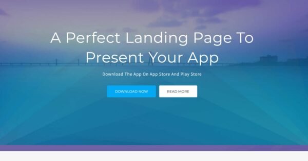 Salmon – One Page App WordPress Theme