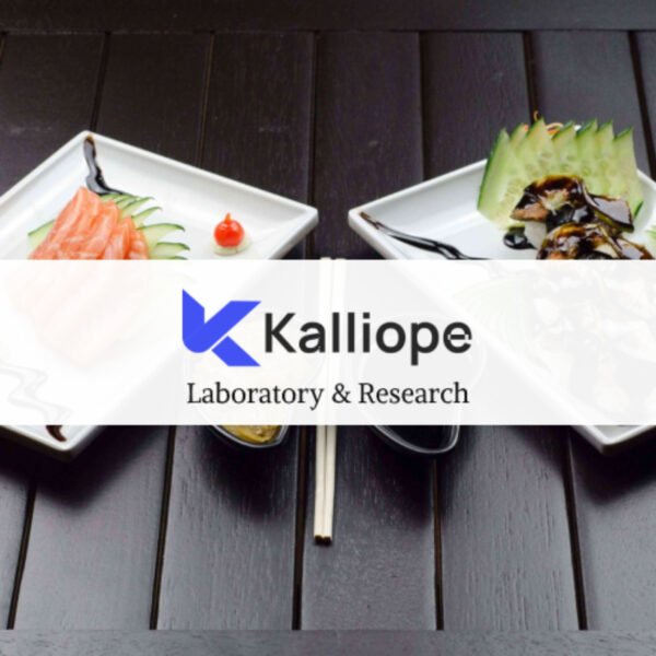 Kalliope – Modern Blog WordPress Theme