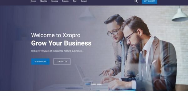Xzopro – Finance And Business WordPress Theme