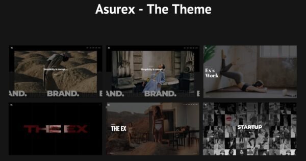 Asurex – WordPress Theme