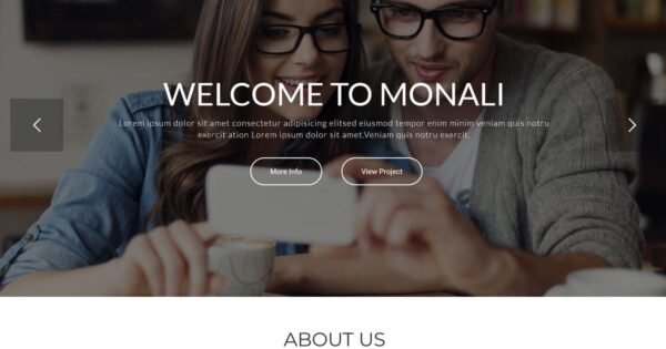Monali – Business Agency WordPress Theme