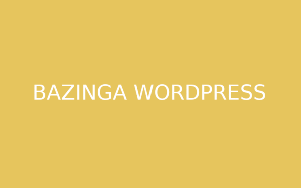 Bazinga – Creative WordPress Theme