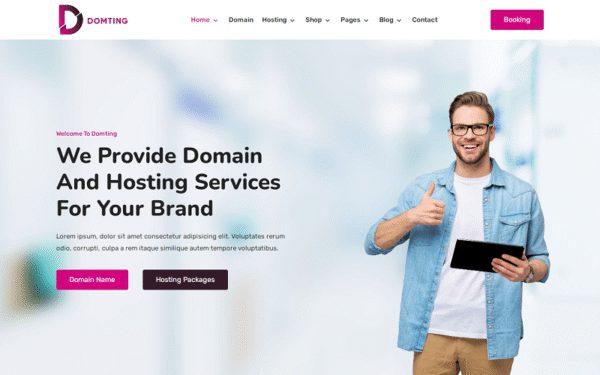 Domting – Domain and Hosting Provider Company and Agency Elementor WordPress Theme