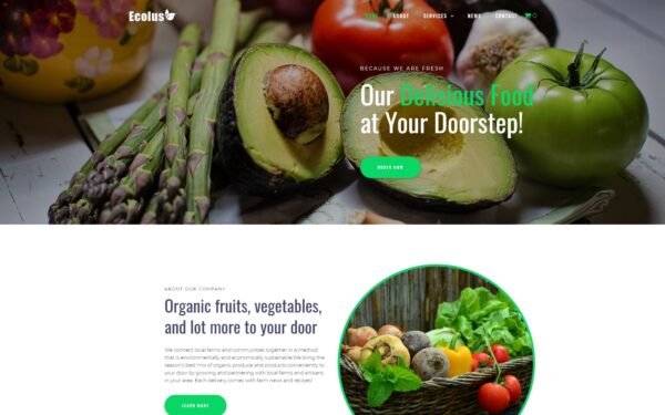 Ecolus – Organic Food Delivery ECommerce Modern WordPress Elementor Theme WordPress Theme