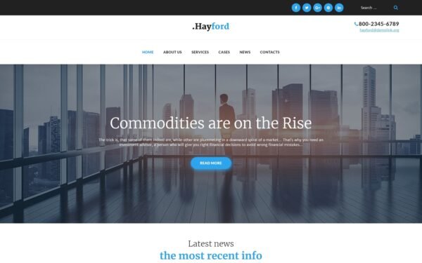 Hayford – Investment Consulting Services Responsive WordPress Theme