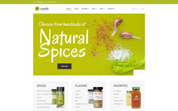 Piccante – Spices Store Elementor WooCommerce Theme