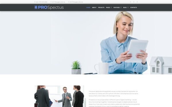 Prospectus – Advertising Portfolio WordPress Theme