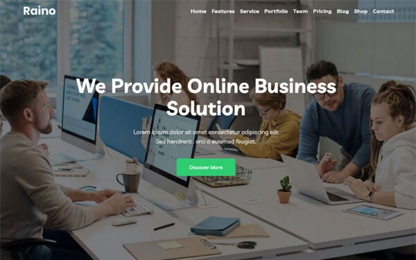 Raino – Digital Agency One page WordPress Theme