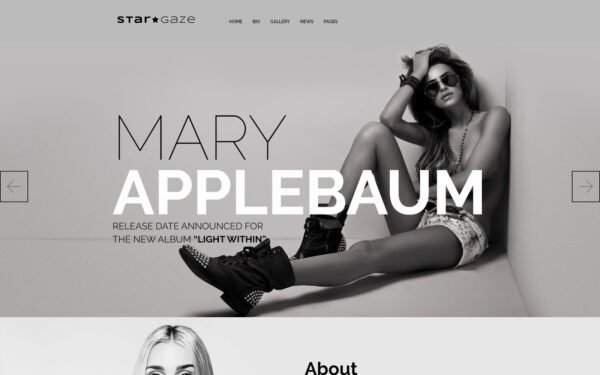 Stargaze – Media & Celebrity Responsive WordPress Theme