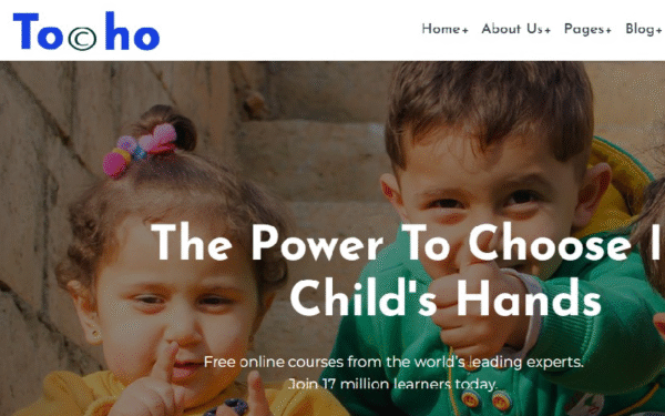 Tocho – Charity & Nonprofit WordPress Theme