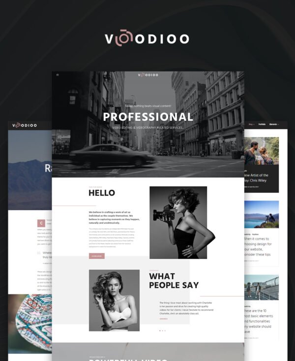 Voodioo – Videographer Responsive WordPress theme WordPress Theme
